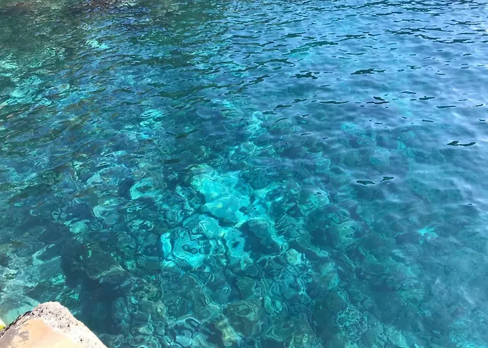 Lägenhet Mit Blick Auf Wasser By Interhome *